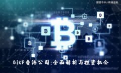 BitP香港公司：全面解析与投资机会