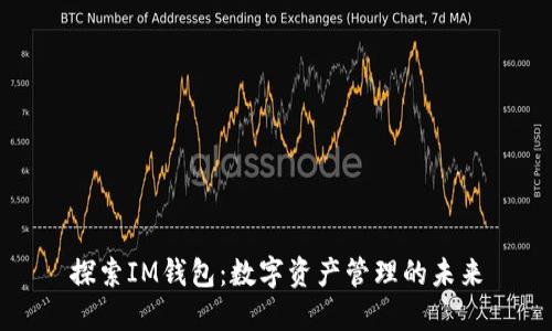 探索IM钱包：数字资产管理的未来