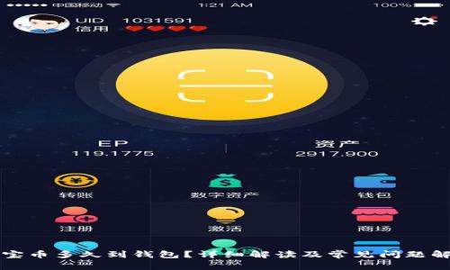 元宝币多久到钱包？详细解读及常见问题解答