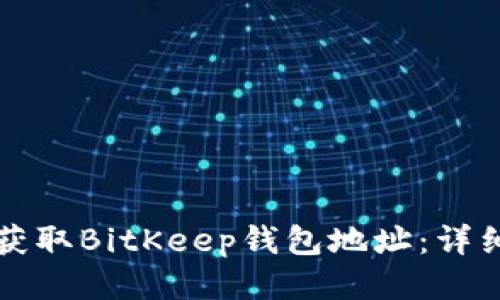 如何获取BitKeep钱包地址：详细指南