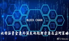 比特派资金意外消失的处理方法及应对策略